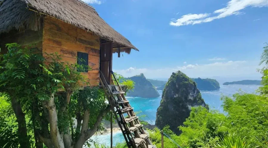 tree house nusa penida